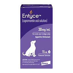 Entyce Oral Solution for Dogs  Elanco Animal Health